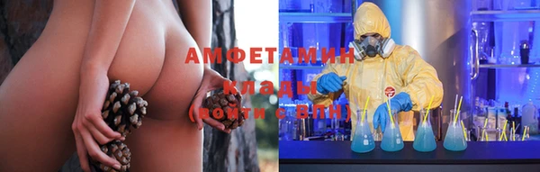 крисы Алзамай