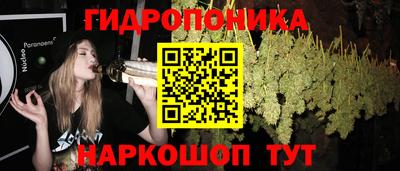 бутират Кимры