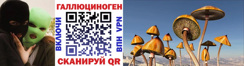 Псилоцибиновые грибы Magic Shrooms  Ижевск 