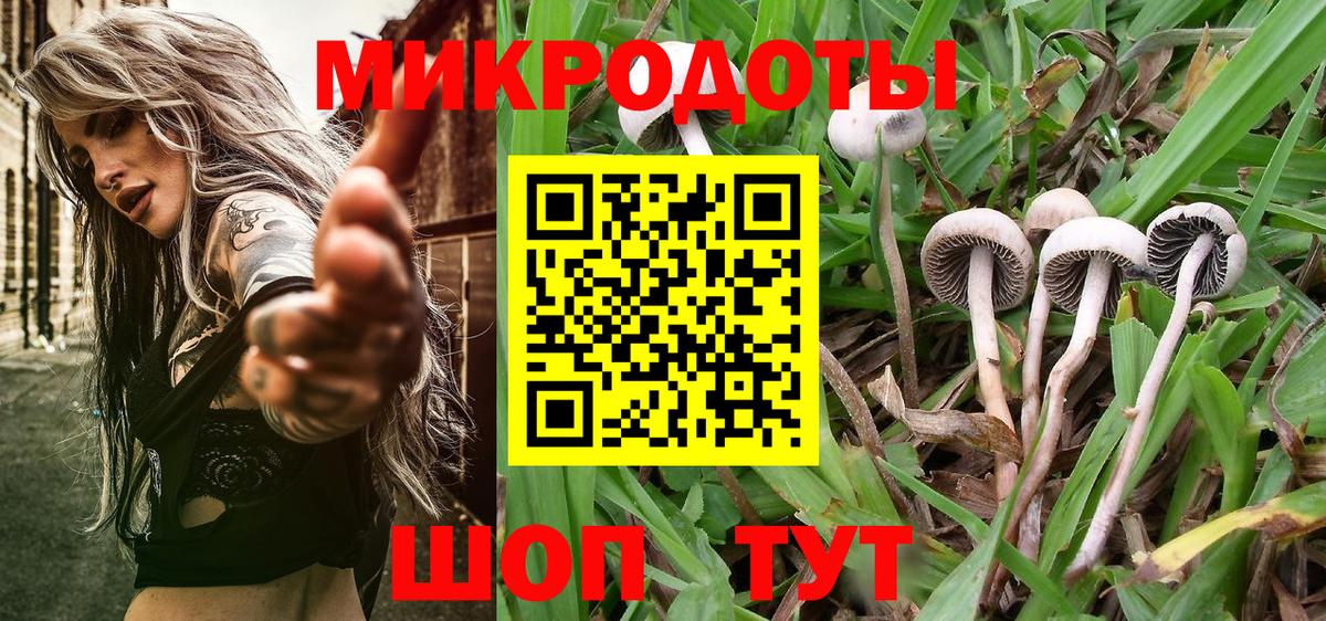 Псилоцибиновые грибы MAGIC MUSHROOMS  Галлюциногенные грибы GOLDEN TEACHER  Вход с VPN  Ижевск 